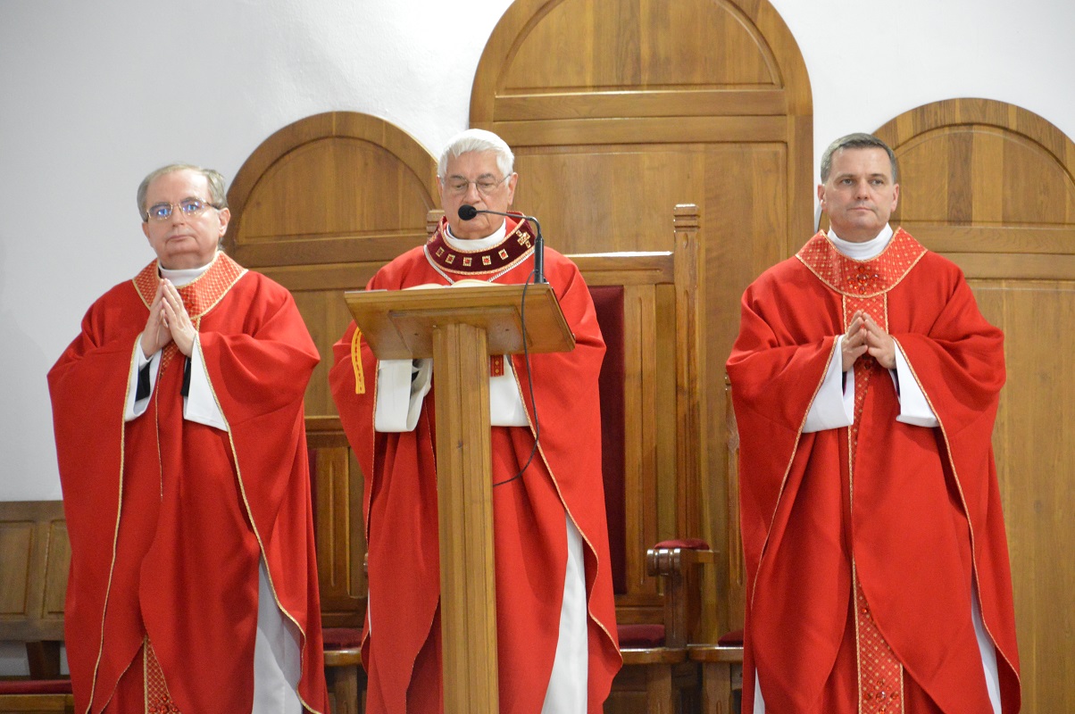 Panie, Ty widzisz, krzyża się nie lękam